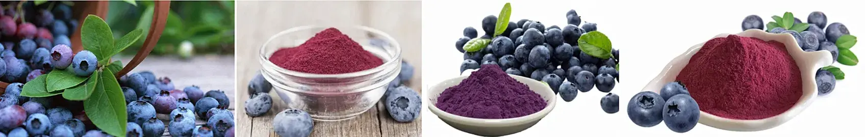 organic blueberry juice powder1.webp